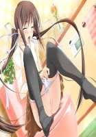 Princess Lover! / プリンセスラバー！ [Komori Kei] [Princess Lover!] Thumbnail Page 92