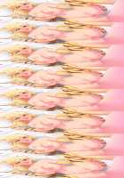 Oneshota Dragon - Kyonyuu no Onee-san darake no Sekai / おねショタドラゴン 巨乳のお姉さんだらけの世界 [Original] Thumbnail Page 37