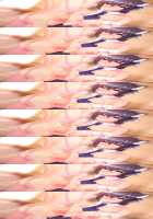 Oneshota Dragon - Kyonyuu no Onee-san darake no Sekai / おねショタドラゴン 巨乳のお姉さんだらけの世界 [Original] Thumbnail Page 41