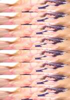 Oneshota Dragon - Kyonyuu no Onee-san darake no Sekai / おねショタドラゴン 巨乳のお姉さんだらけの世界 [Original] Thumbnail Page 42