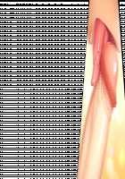 Game (=Eroge) Mitai na, Suteki na Koi ga Shitai! / ゲーム（＝エロゲー）みたいな、ステキな恋がしたいっ！ [Ino] [Original] Thumbnail Page 1271