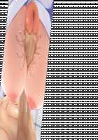 Game (=Eroge) Mitai na, Suteki na Koi ga Shitai! / ゲーム（＝エロゲー）みたいな、ステキな恋がしたいっ！ [Ino] [Original] Thumbnail Page 1831