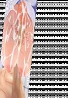 Game (=Eroge) Mitai na, Suteki na Koi ga Shitai! / ゲーム（＝エロゲー）みたいな、ステキな恋がしたいっ！ [Ino] [Original] Thumbnail Page 1833