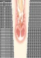 Game (=Eroge) Mitai na, Suteki na Koi ga Shitai! / ゲーム（＝エロゲー）みたいな、ステキな恋がしたいっ！ [Ino] [Original] Thumbnail Page 1843