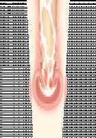 Game (=Eroge) Mitai na, Suteki na Koi ga Shitai! / ゲーム（＝エロゲー）みたいな、ステキな恋がしたいっ！ [Ino] [Original] Thumbnail Page 1844