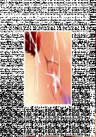 Makai no Princess Camilla ～Ningenkai wo Sex de Sukucchau RPG～ / 魔界のプリンセス・カミーラ ～人間界をSEXで救っちゃうRPG～ [Yat] [Original] Thumbnail Page 732