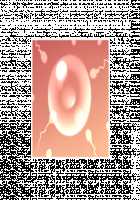 Makai no Princess Camilla ～Ningenkai wo Sex de Sukucchau RPG～ / 魔界のプリンセス・カミーラ ～人間界をSEXで救っちゃうRPG～ [Yat] [Original] Thumbnail Page 735