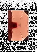 Makai no Princess Camilla ～Ningenkai wo Sex de Sukucchau RPG～ / 魔界のプリンセス・カミーラ ～人間界をSEXで救っちゃうRPG～ [Yat] [Original] Thumbnail Page 861