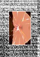 Makai no Princess Camilla ～Ningenkai wo Sex de Sukucchau RPG～ / 魔界のプリンセス・カミーラ ～人間界をSEXで救っちゃうRPG～ [Yat] [Original] Thumbnail Page 866