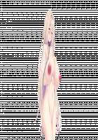 Ingoku no Himekishi Shimai ~Orc no Kachiku Naedoko~ / 淫獄の姫騎士姉妹 オークの家畜苗床 [Chikubi] [Original] Thumbnail Page 1448