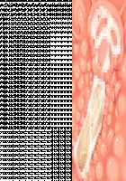 Princess Heart Link ~Kenki-tachi no Enbu~ / プリンセスハートリンク ～剣姫たちの艶舞～ [Aoi Nagisa] [Original] Thumbnail Page 254