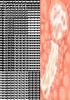 Princess Heart Link ~Kenki-tachi no Enbu~ / プリンセスハートリンク ～剣姫たちの艶舞～ [Aoi Nagisa] [Original] Thumbnail Page 255