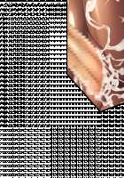 Princess Heart Link ~Kenki-tachi no Enbu~ / プリンセスハートリンク ～剣姫たちの艶舞～ [Aoi Nagisa] [Original] Thumbnail Page 29