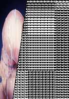 Princess Heart Link ~Kenki-tachi no Enbu~ / プリンセスハートリンク ～剣姫たちの艶舞～ [Aoi Nagisa] [Original] Thumbnail Page 516