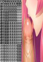 Princess Heart Link ~Kenki-tachi no Enbu~ / プリンセスハートリンク ～剣姫たちの艶舞～ [Aoi Nagisa] [Original] Thumbnail Page 929