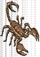 Ponkotsu Oujo Justi no Haison Kaitakuki / ぽんこつ王女ユスティの廃村開拓記 [Original] Thumbnail Page 241