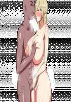 Ponkotsu Oujo Justi no Haison Kaitakuki / ぽんこつ王女ユスティの廃村開拓記 [Original] Thumbnail Page 412