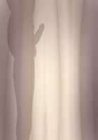 Luka to Allen ~Futari no Akazukin to Ookami Otoko-tachi~ / ルカとアレン～2人の赤ずきんとオオカミ男たち～ [Original] Thumbnail Page 137