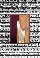 Luka to Allen ~Futari no Akazukin to Ookami Otoko-tachi~ / ルカとアレン～2人の赤ずきんとオオカミ男たち～ [Original] Thumbnail Page 224