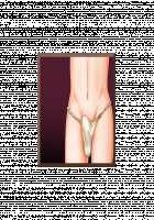 Luka to Allen ~Futari no Akazukin to Ookami Otoko-tachi~ / ルカとアレン～2人の赤ずきんとオオカミ男たち～ [Original] Thumbnail Page 225