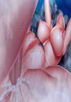 Kan ochi x Namaiki Gyaru / 完堕ちＸ生意気ギャル〜チョー気持ちイイ！アタシ、センセイの肉オナホになるっ！〜 [Midori Aoi] [Original] Thumbnail Page 569