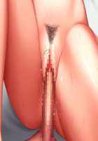 Kan ochi x Namaiki Gyaru / 完堕ちＸ生意気ギャル〜チョー気持ちイイ！アタシ、センセイの肉オナホになるっ！〜 [Midori Aoi] [Original] Thumbnail Page 635