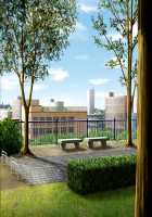 Man'in Densha - DVD Tokubetsuban / 満淫電車 DVD特別版 [Mizushima Oonari] [Original] Thumbnail Page 213