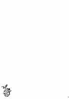 Zetsubou no Heisei ni Shoujo no Ai / 絶望の平成に少女のアイ [Aburidashi Zakuro] [Touhou Project] Thumbnail Page 20