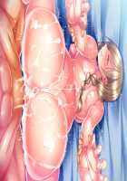 Succu Ari Apart / サキュありアパート [Yatsuki Hiyori] [Original] Thumbnail Page 320