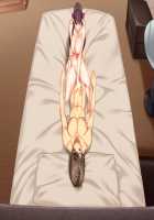 Boku ni Dakare Aegu Tsuma wa, Hoka no Otoko ni Dakareta Hanashi o Tsumugu ~Tsuma no Kirei na Niku Bira ga Hoka no Otoko no Ikiri Bou ni Oshihirogerarete Iru no o Mite, Gachigachi ni Kankan Bou o Bouchou Saseru~ / 僕に抱かれ喘ぐ妻は、他の男に抱かれた話を紡ぐ ～妻の綺麗な肉ビラが他の男のイキリ棒に押し広げられているのを見て、ガチガチにカンカン棒を膨張させる～ [Ryao] [Original] Thumbnail Page 390