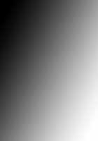 Hime to Boin / 姫とボイン [Sano Toshihide] [Hime To Boin] Thumbnail Page 426