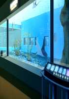 Kanojo no Karada ni Tsuita Aitsu no Kiss Ato ~Osananajimi no Kyonyuu Kanojo wa Senpai no Ookina Ude ni Tsutsumare Toroketa Emi o Ukaberu~ / 彼女の肢体（からだ）に付いたアイツの唇痕（キスあと） ～幼馴染みの巨乳彼女は先輩の大きな腕に包まれ淫蕩（とろ）けた笑みを浮かべる～ [Un Equals Shokutarou] [Original] Thumbnail Page 792