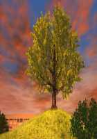 Motto! Debutopia / もっと！デブトピア [Oshare Kyoushitsu.] [Original] Thumbnail Page 212