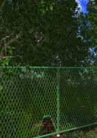 Motto! Debutopia / もっと！デブトピア [Oshare Kyoushitsu.] [Original] Thumbnail Page 220