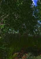 Motto! Debutopia / もっと！デブトピア [Oshare Kyoushitsu.] [Original] Thumbnail Page 231