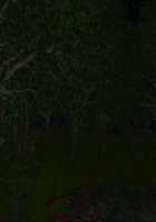 Motto! Debutopia / もっと！デブトピア [Oshare Kyoushitsu.] [Original] Thumbnail Page 232