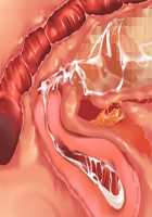 Kemo Ane ~Kemomimi Onee-san o Oyome-san ni Shite Isekai Haramase Slow Life~ / けもあね ～ケモ耳お姉さんをお嫁さんにして異世界孕ませスローライフ～ [Ouji Hiyoko] [Original] Thumbnail Page 100