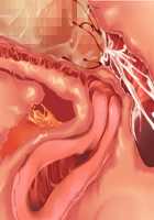 Kemo Ane ~Kemomimi Onee-san o Oyome-san ni Shite Isekai Haramase Slow Life~ / けもあね ～ケモ耳お姉さんをお嫁さんにして異世界孕ませスローライフ～ [Ouji Hiyoko] [Original] Thumbnail Page 128