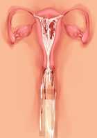 Kemo Ane ~Kemomimi Onee-san o Oyome-san ni Shite Isekai Haramase Slow Life~ / けもあね ～ケモ耳お姉さんをお嫁さんにして異世界孕ませスローライフ～ [Ouji Hiyoko] [Original] Thumbnail Page 134