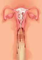 Kemo Ane ~Kemomimi Onee-san o Oyome-san ni Shite Isekai Haramase Slow Life~ / けもあね ～ケモ耳お姉さんをお嫁さんにして異世界孕ませスローライフ～ [Ouji Hiyoko] [Original] Thumbnail Page 136