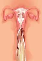 Kemo Ane ~Kemomimi Onee-san o Oyome-san ni Shite Isekai Haramase Slow Life~ / けもあね ～ケモ耳お姉さんをお嫁さんにして異世界孕ませスローライフ～ [Ouji Hiyoko] [Original] Thumbnail Page 139