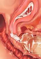 Kemo Ane ~Kemomimi Onee-san o Oyome-san ni Shite Isekai Haramase Slow Life~ / けもあね ～ケモ耳お姉さんをお嫁さんにして異世界孕ませスローライフ～ [Ouji Hiyoko] [Original] Thumbnail Page 149