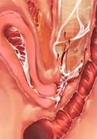 Kemo Ane ~Kemomimi Onee-san o Oyome-san ni Shite Isekai Haramase Slow Life~ / けもあね ～ケモ耳お姉さんをお嫁さんにして異世界孕ませスローライフ～ [Ouji Hiyoko] [Original] Thumbnail Page 158