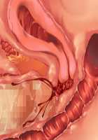 Kemo Ane ~Kemomimi Onee-san o Oyome-san ni Shite Isekai Haramase Slow Life~ / けもあね ～ケモ耳お姉さんをお嫁さんにして異世界孕ませスローライフ～ [Ouji Hiyoko] [Original] Thumbnail Page 160