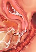 Kemo Ane ~Kemomimi Onee-san o Oyome-san ni Shite Isekai Haramase Slow Life~ / けもあね ～ケモ耳お姉さんをお嫁さんにして異世界孕ませスローライフ～ [Ouji Hiyoko] [Original] Thumbnail Page 163