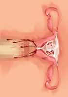 Kemo Ane ~Kemomimi Onee-san o Oyome-san ni Shite Isekai Haramase Slow Life~ / けもあね ～ケモ耳お姉さんをお嫁さんにして異世界孕ませスローライフ～ [Ouji Hiyoko] [Original] Thumbnail Page 166