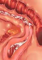 Kemo Ane ~Kemomimi Onee-san o Oyome-san ni Shite Isekai Haramase Slow Life~ / けもあね ～ケモ耳お姉さんをお嫁さんにして異世界孕ませスローライフ～ [Ouji Hiyoko] [Original] Thumbnail Page 174