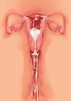 Kemo Ane ~Kemomimi Onee-san o Oyome-san ni Shite Isekai Haramase Slow Life~ / けもあね ～ケモ耳お姉さんをお嫁さんにして異世界孕ませスローライフ～ [Ouji Hiyoko] [Original] Thumbnail Page 94