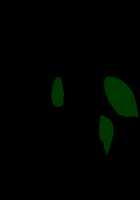 Hissatsu Chikannin / 必殺痴漢人 [Teeta.j] [Original] Thumbnail Page 334