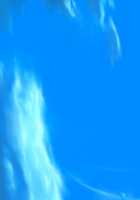 Iegami Nyoubou ~ Legaminyoubou - ~ Koisuru Inaba wa Kinpatsu Usagi ~ / 家神女房-イエガミニョウボウ- ～恋する因幡は金髪うさぎ～ [Yu-ta] [Original] Thumbnail Page 267